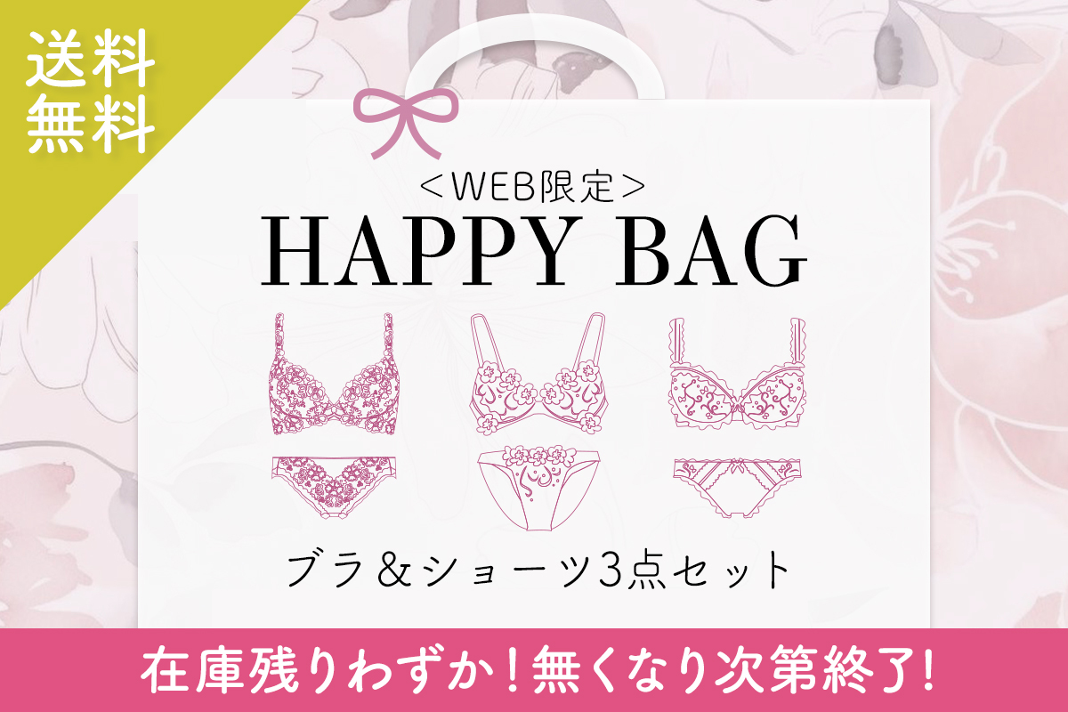 全ての 大きいサイズのブラ＆ショーツセットHAPPYBAG｜【公式】大きい ...